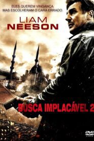Busca Implacável 2