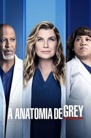 A Anatomia de Grey