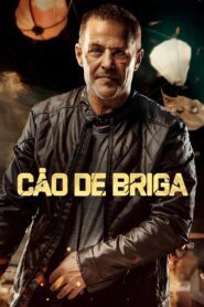 Cão de Briga